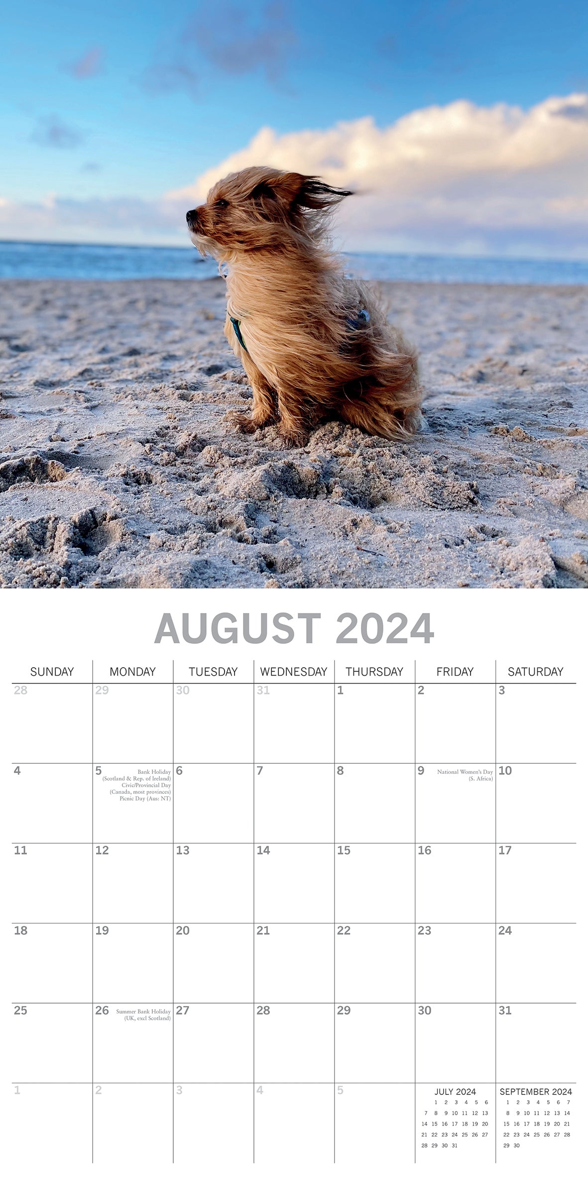 2024 Square Dogs in the Wind Wall Calendar - 16 Months Premium Planner