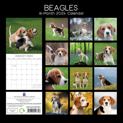 2024 Square Beagle Wall Calendar - 16 Months Premium Planner