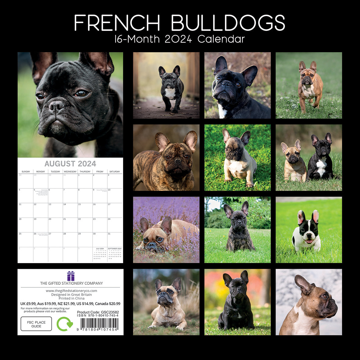 2024 Square French Bulldogs Wall Calendar - 16 Months Premium Planner