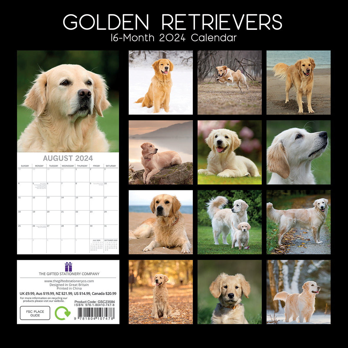 2024 Square Golden Retrievers Wall Calendar - 16 Months Premium Planner