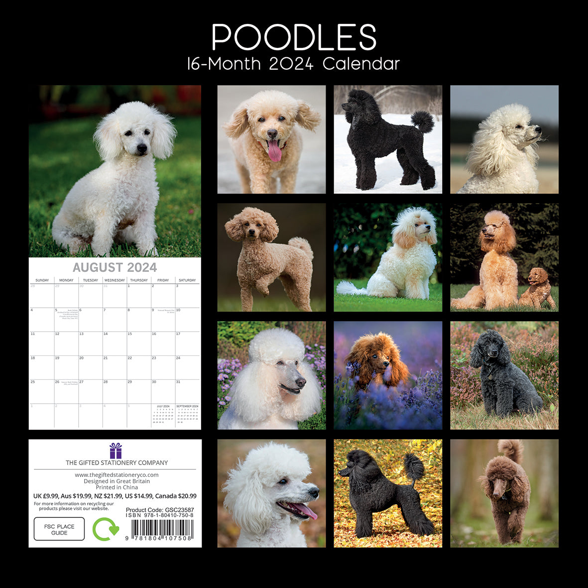 2024 Square Poodles Wall Calendar - 16 Months Premium Planner