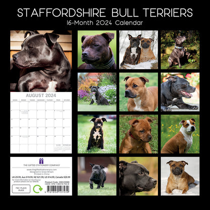 2024 Square Staffordshire Bull Terriers Wall Calendar - 16 Months Premium Planner