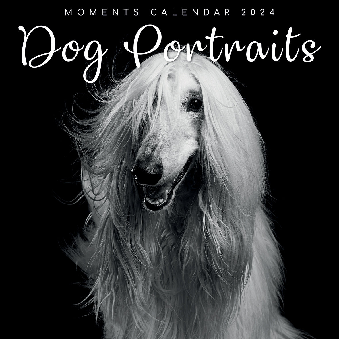 2024 Square Dog Portraits Wall Calendar - 16 Months Premium Planner - Black & White