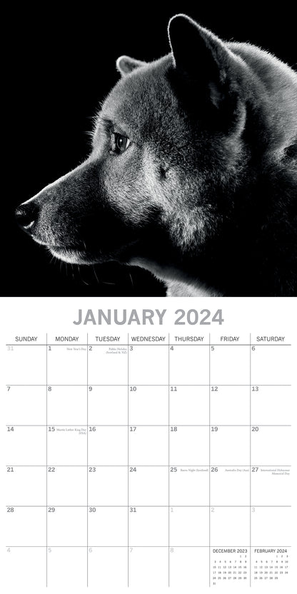 2024 Square Dog Portraits Wall Calendar - 16 Months Premium Planner - Black & White