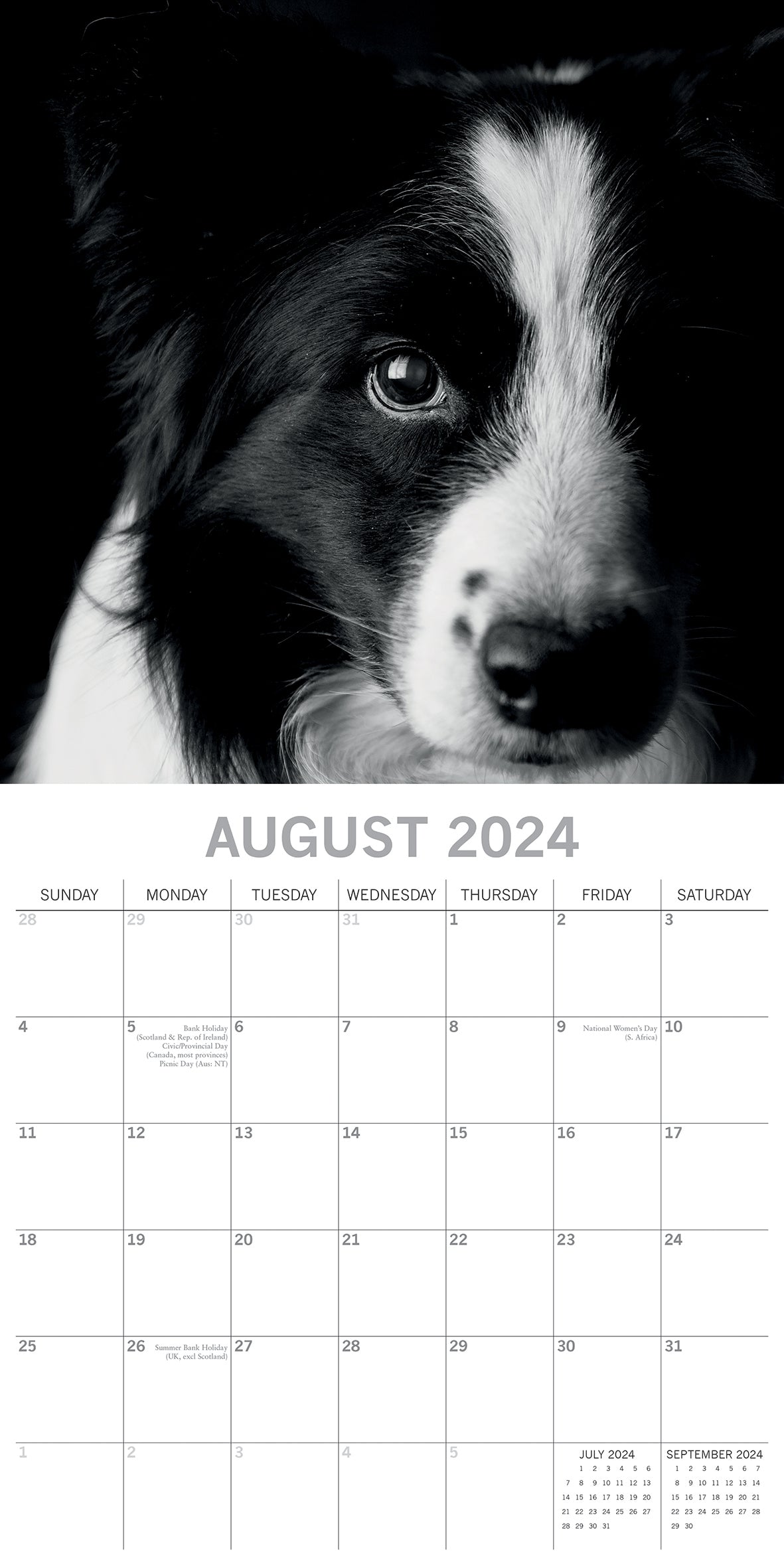 2024 Square Dog Portraits Wall Calendar - 16 Months Premium Planner - Black & White