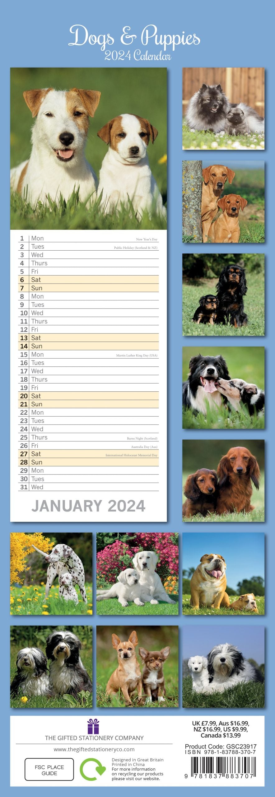 Dogs & Puppies - 2024 Slimline Wall Calendar Hanging Planner