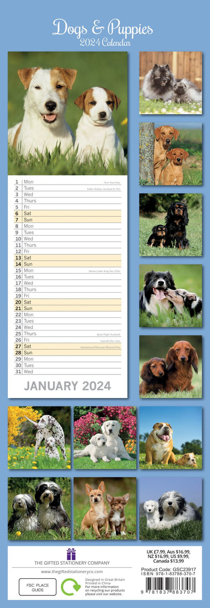 Dogs & Puppies - 2024 Slimline Wall Calendar Hanging Planner