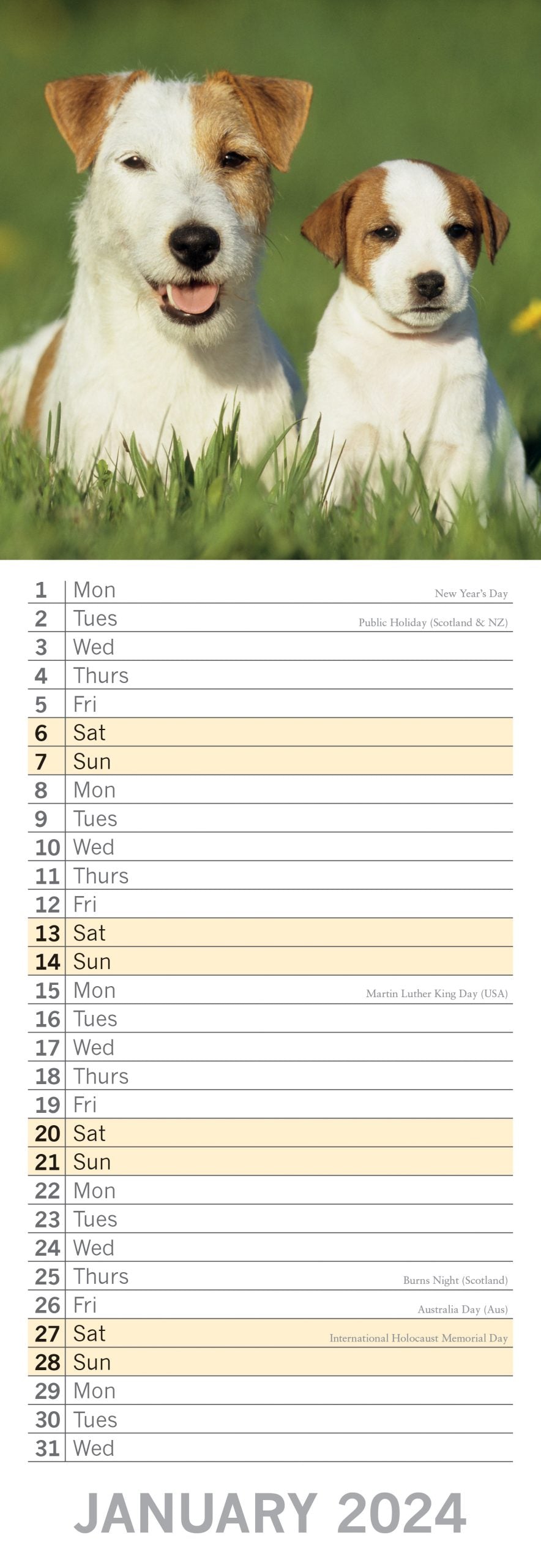 Dogs & Puppies - 2024 Slimline Wall Calendar Hanging Planner