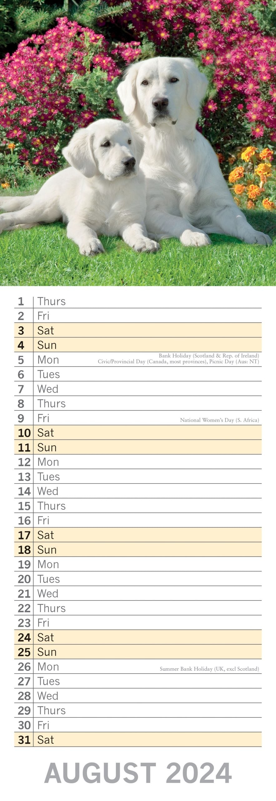 Dogs & Puppies - 2024 Slimline Wall Calendar Hanging Planner