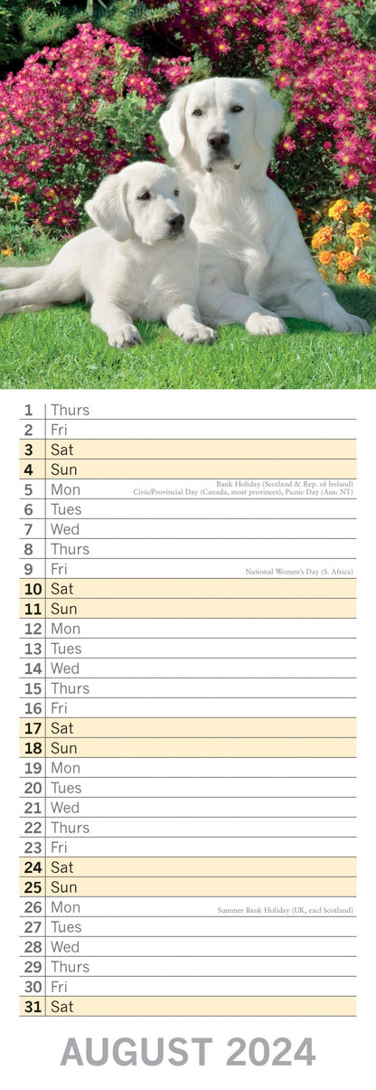 Dogs & Puppies - 2024 Slimline Wall Calendar Hanging Planner