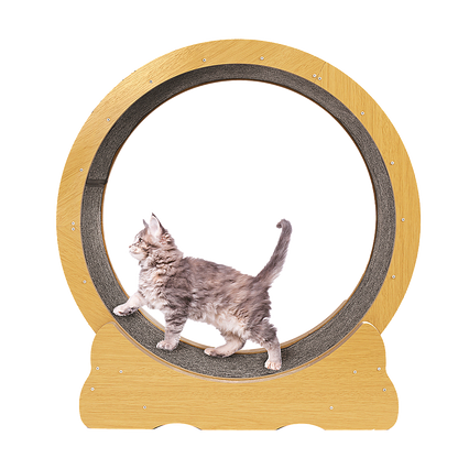 Cat Running Wheel w/ Carpet Runway Cat Exercise Wheel for Fitness Cat Treadmill