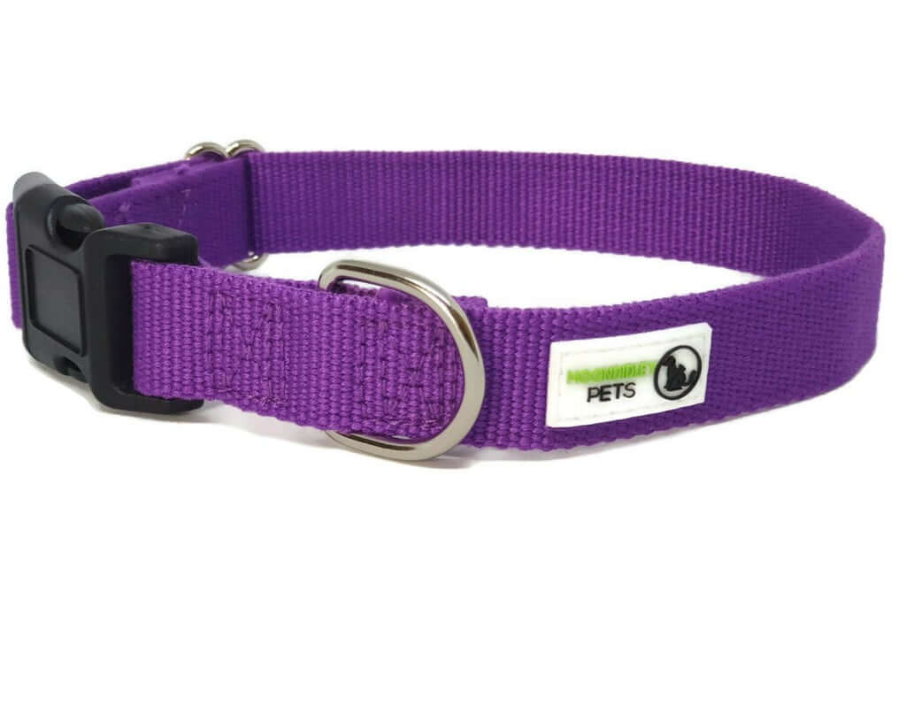 100% Pure Bamboo Fibre Dog Collar Plastic Buckle - Moondidley Pets