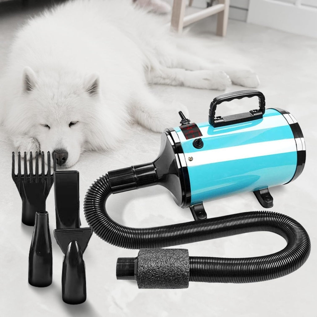 Floofi Pet Hair Dryer Basic Blue