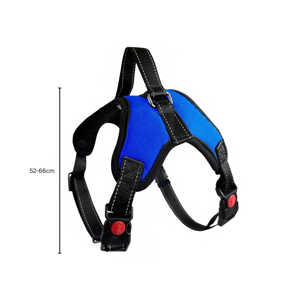 FLOOFI Dog Harness M Size (Blue)