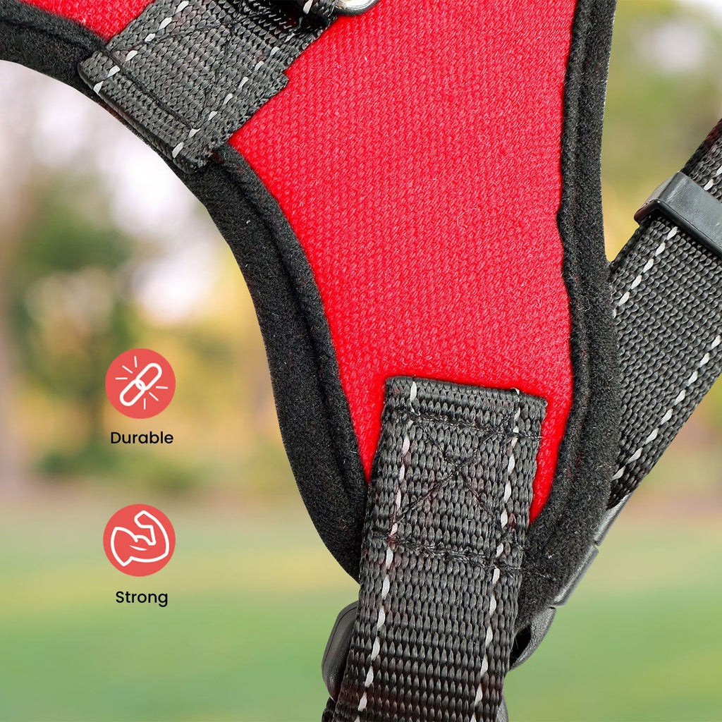 FLOOFI Dog Harness S Size (Red)