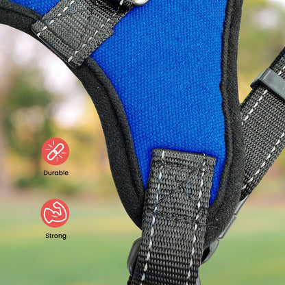 FLOOFI Dog Harness L Size (Blue)