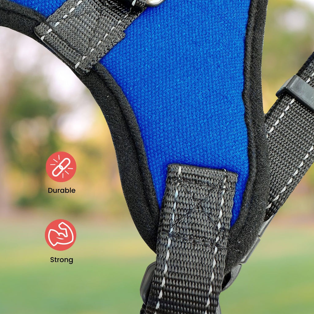 FLOOFI Dog Harness XL Size (Blue)