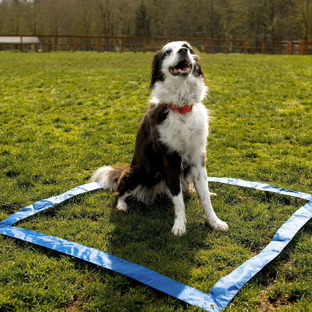 Floofi Dog Agility Training Equipment Set