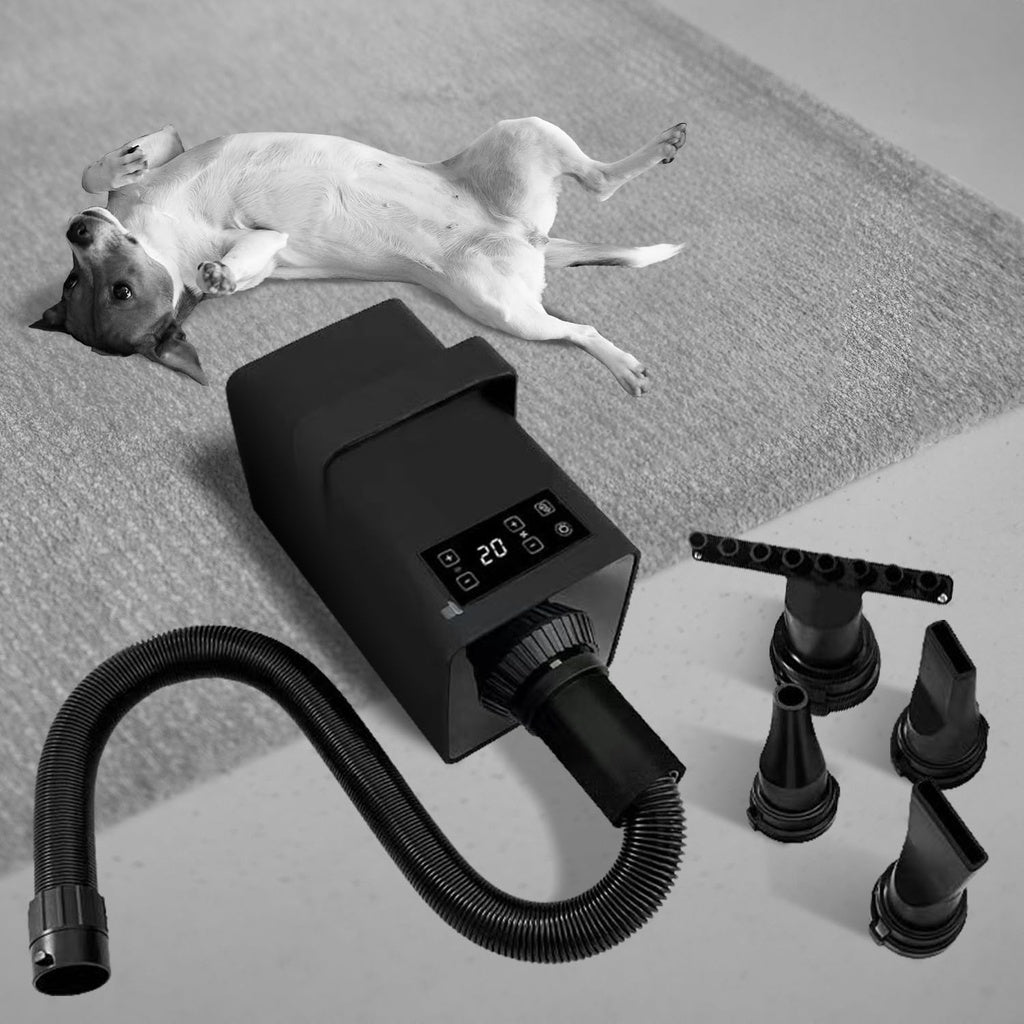 Floofi Pet Hair Dryer LED Black